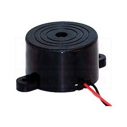 Picture of PIEZO ELEMENT PT-3110WQ