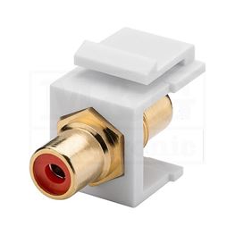 Slika za KEYSTONE MODUL RCA / ČINČ CRVENI